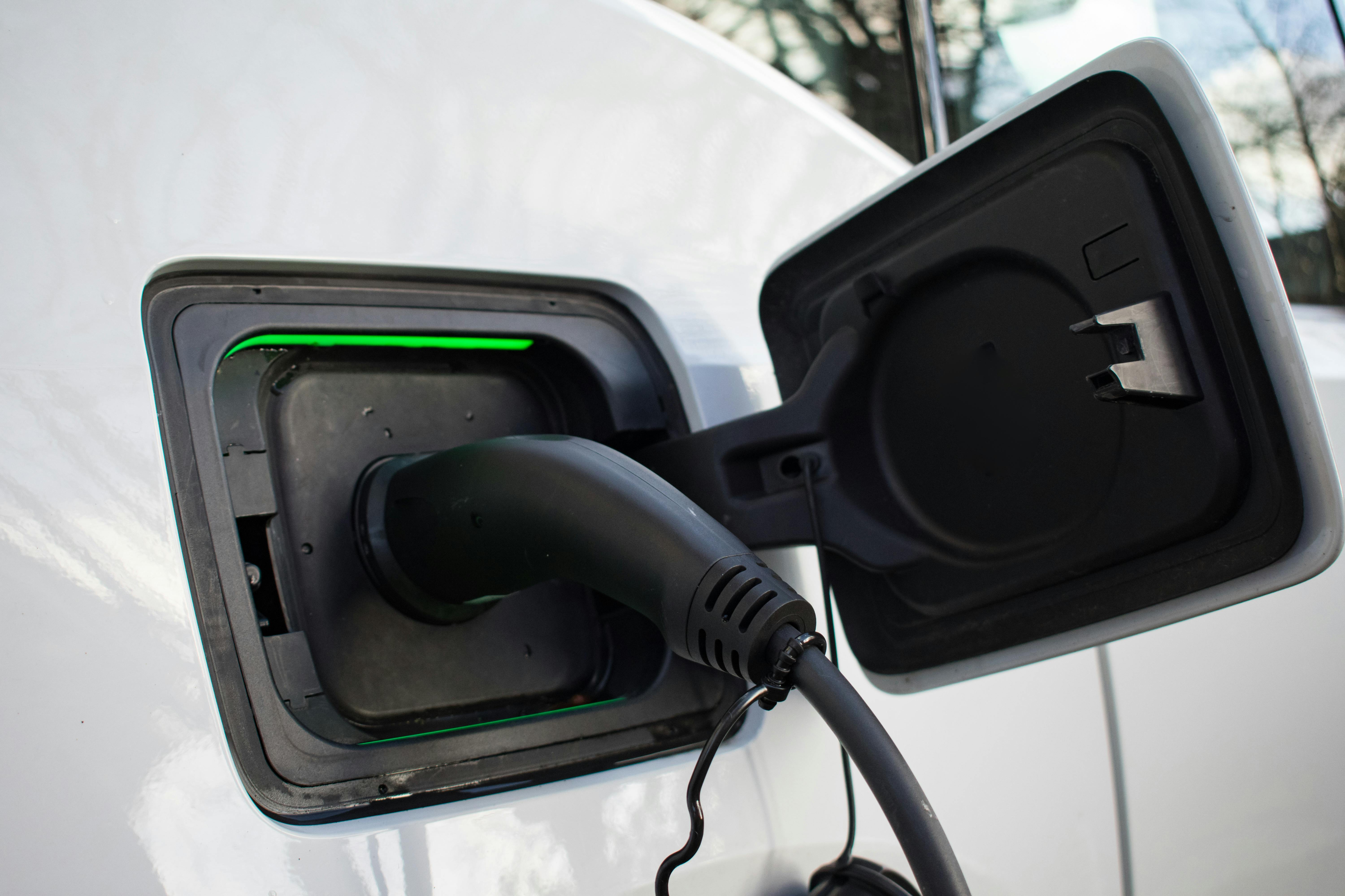 dreamstime_xxl_237988773