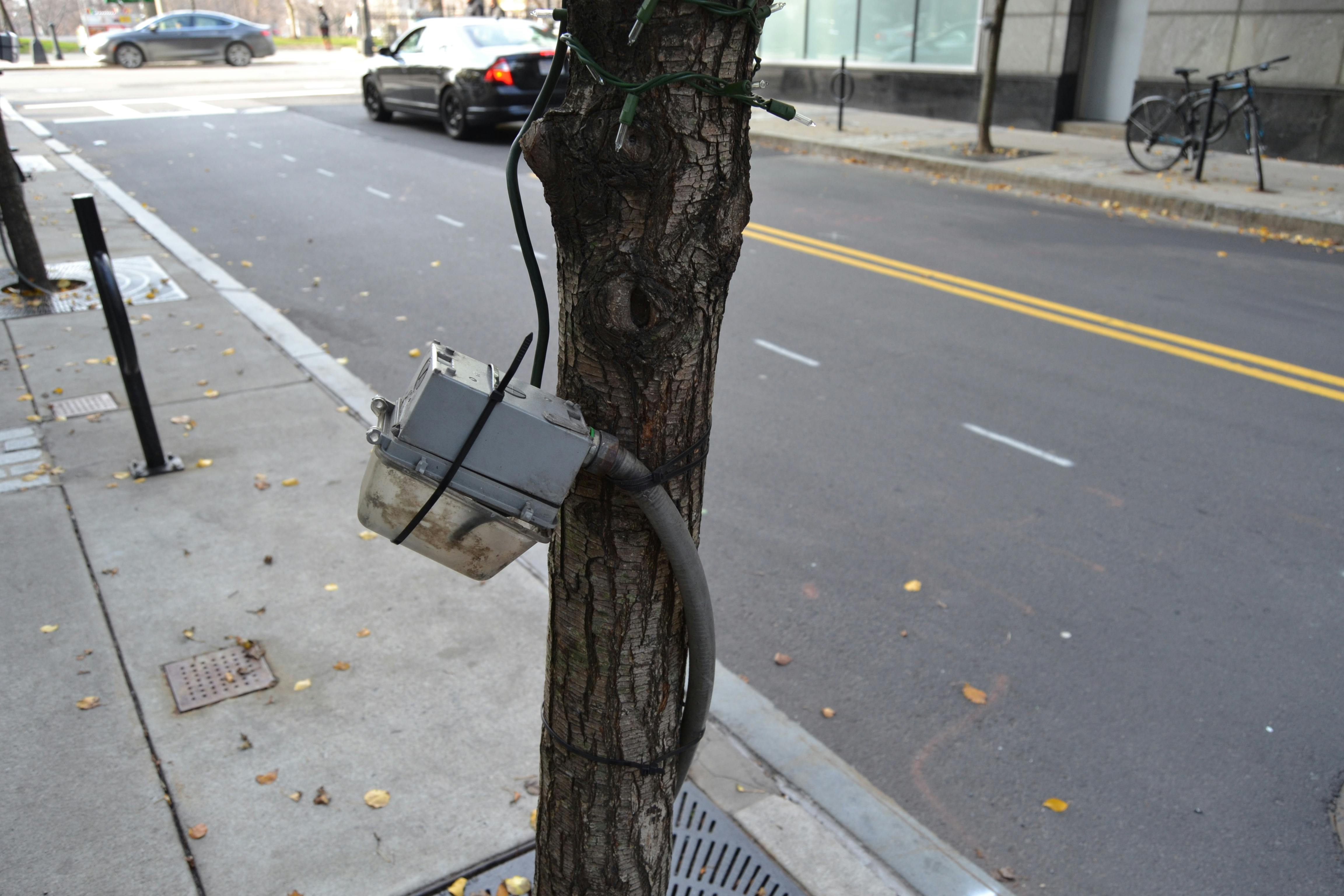 69208bf8ebba210667859d45 December Wwh