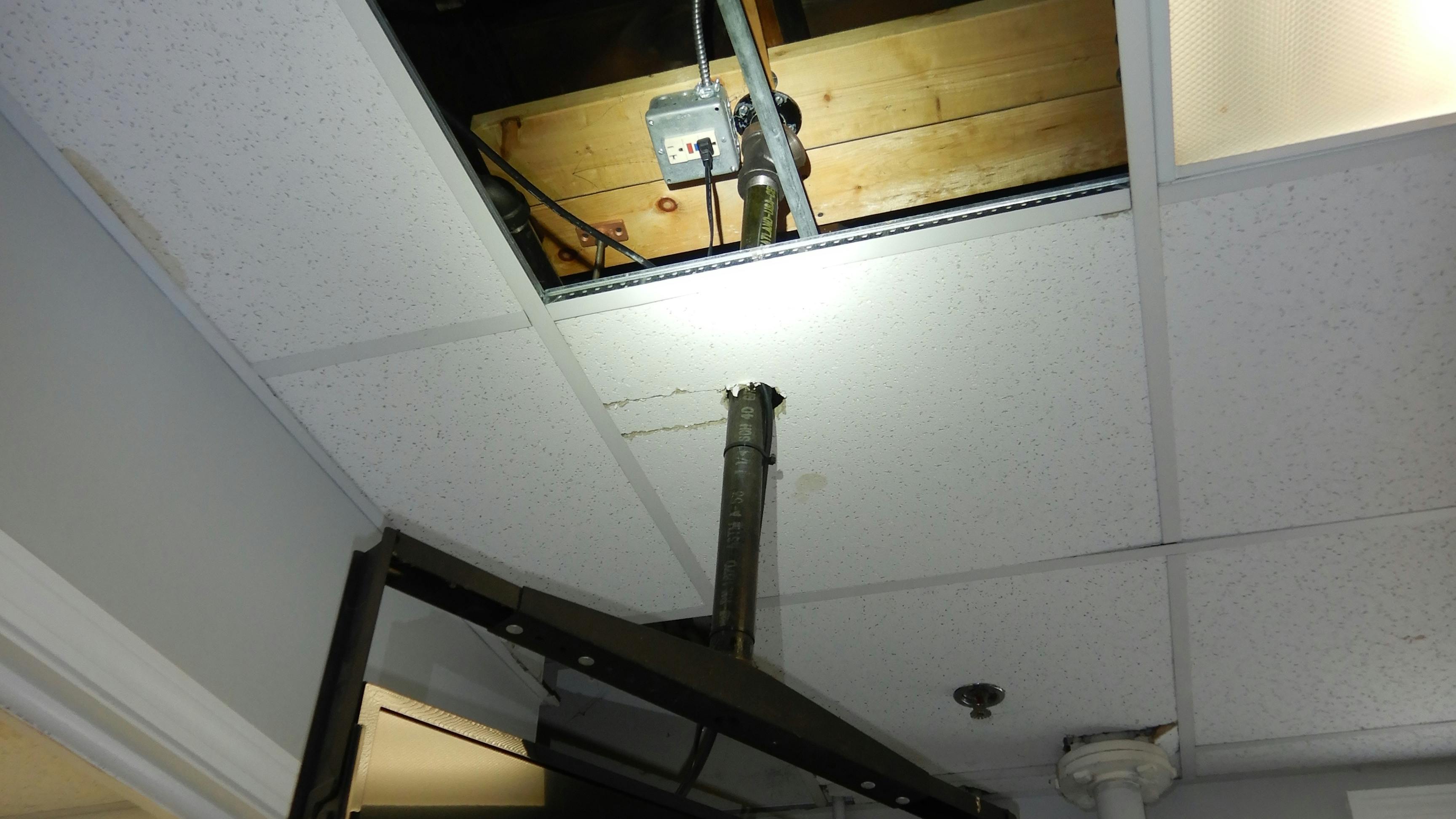 6920b9540ec80a034e202570 Illustrated Catastrophe 1