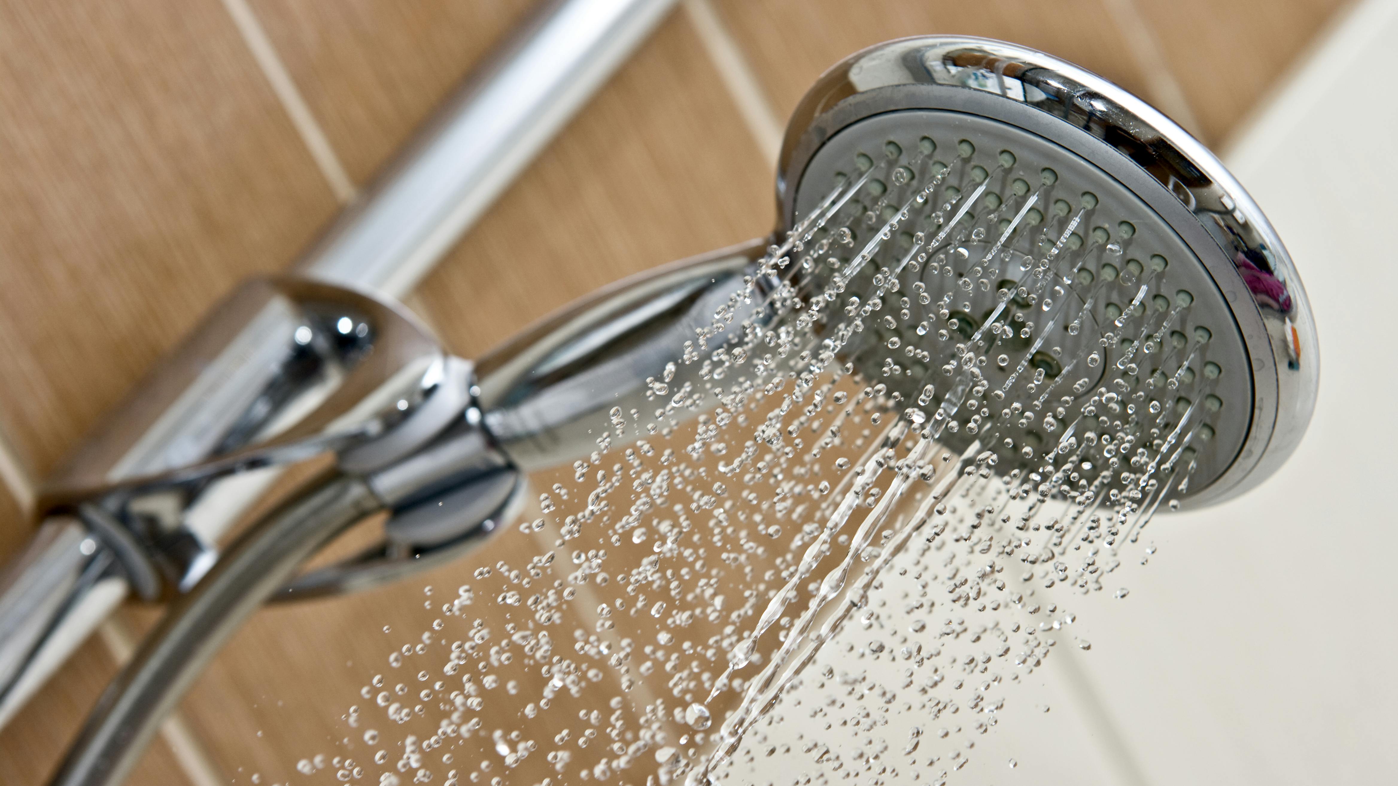 dreamstime_xxl_8274494