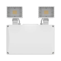 asset13317700_em_twin_spot_v asset13317700_em_twin_spot_v