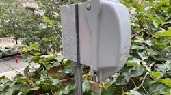 A great flamingo imitation wwh jan226 A great flamingo imitation wwh jan226