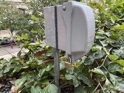 A great flamingo imitation A great flamingo imitation