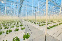 Horticulture lighting Horticulture lighting