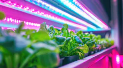 Horticultural lighting promo Horticultural lighting promo