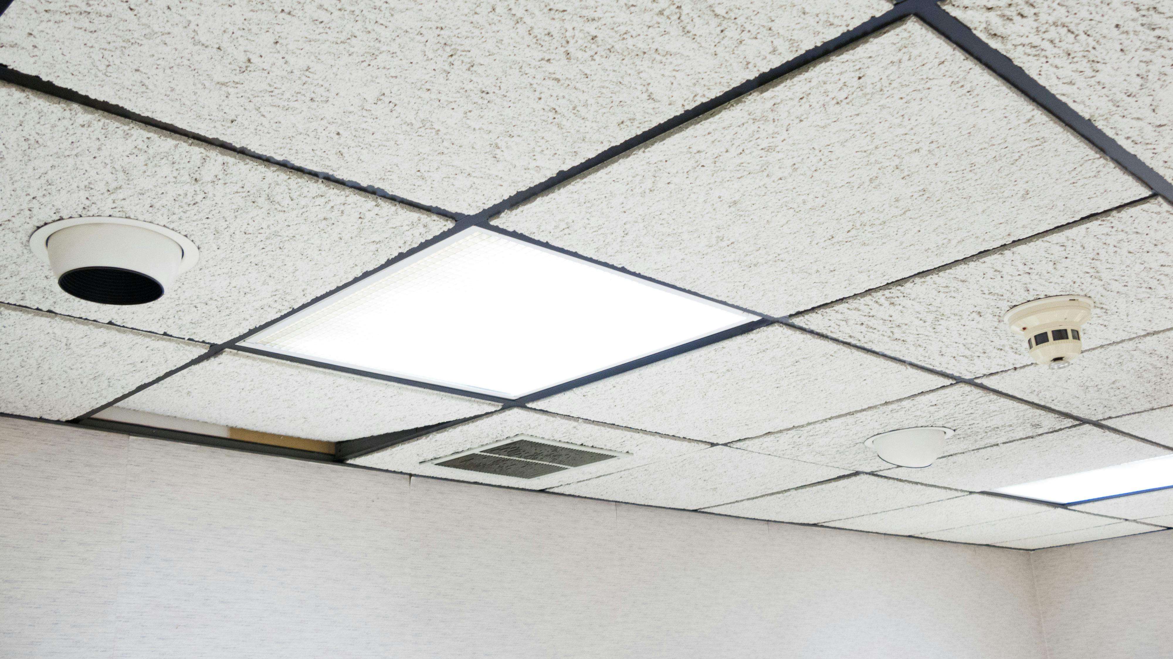 dreamstime_xxl_64976827