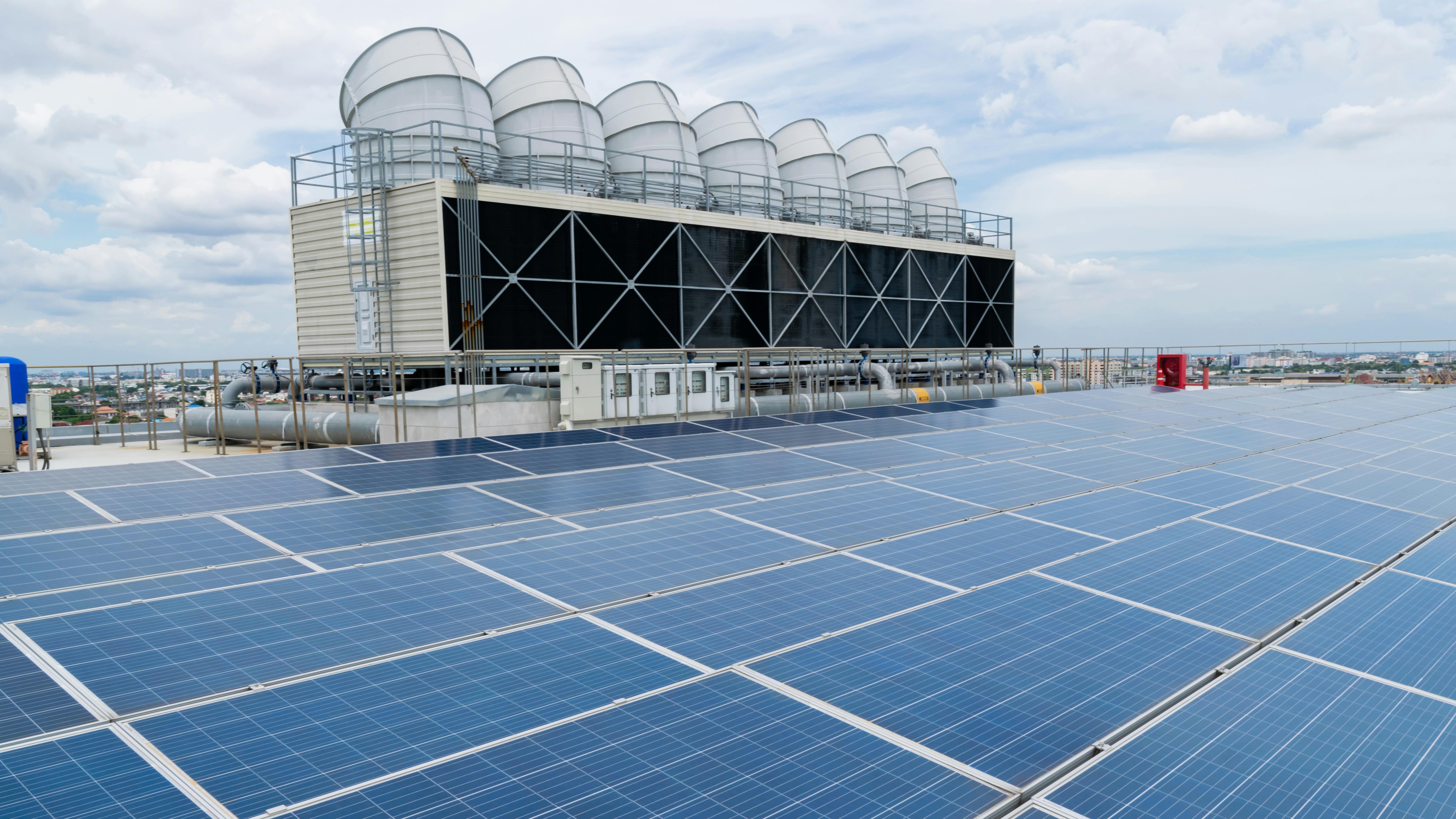 dreamstime_xxl_323019509