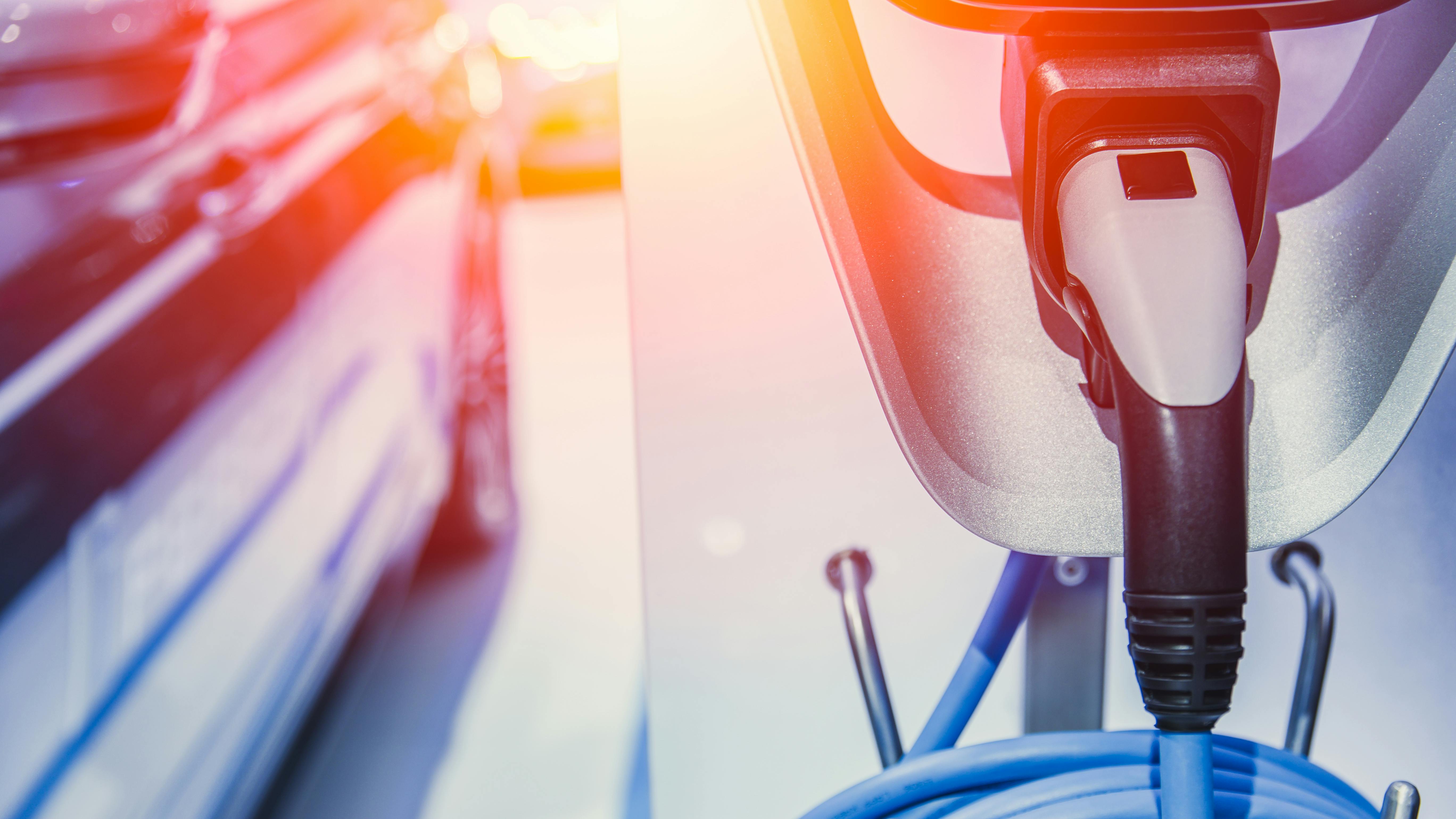 dreamstime_xxl_115192453