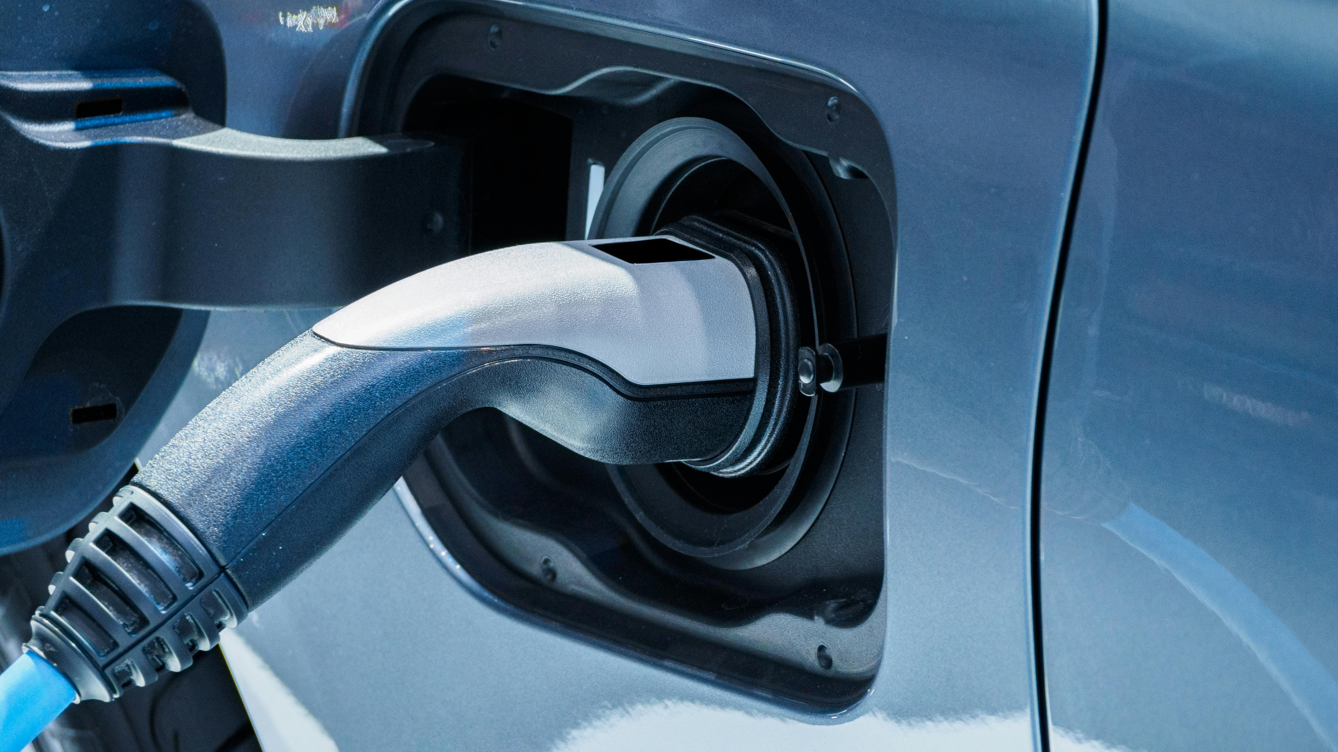 dreamstime_xxl_116265799