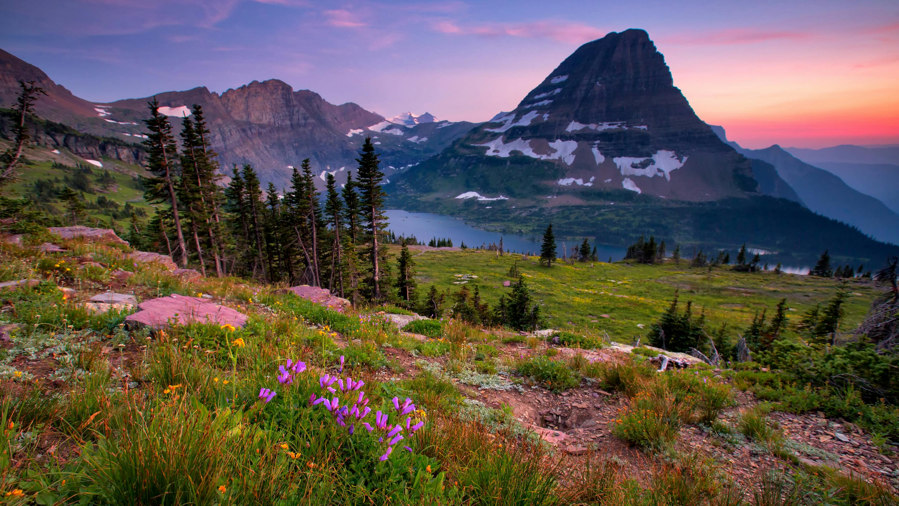 Hidden Lake Trail, Glacier National Park, Montana, USA. Hidden Lake Trail, Logan Pass, Glacier National Park, Montana, USA