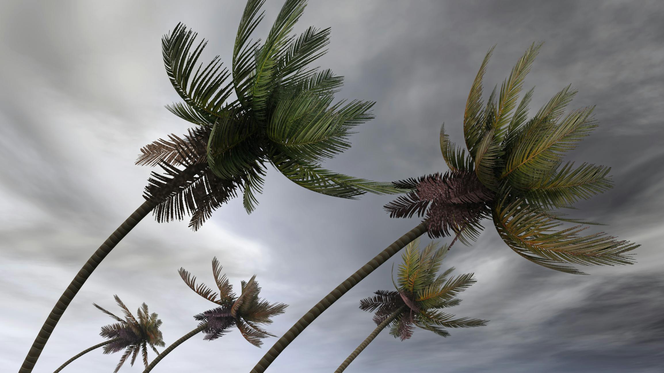 Coastal Storm Resilience for Residential Electrical Systems