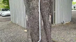 Moving Violations Video No